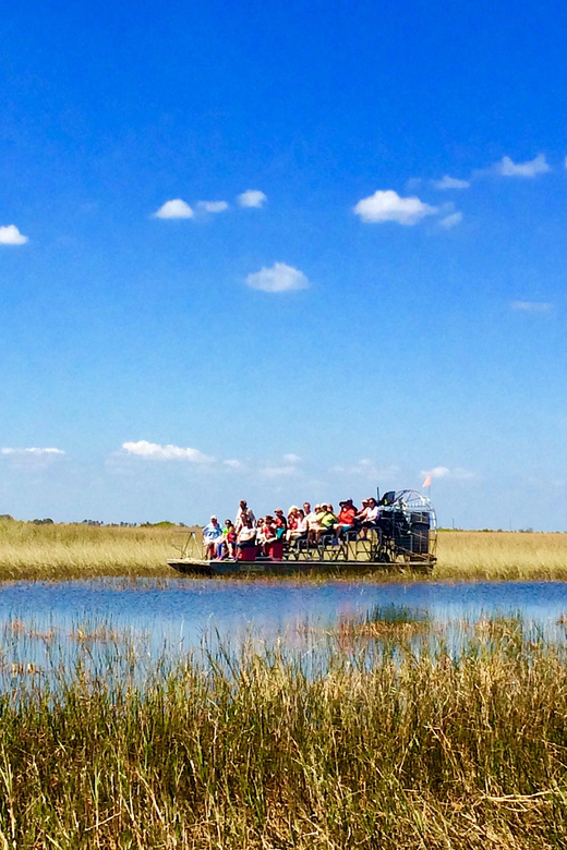 From Miami: Everglades Airboat Alligator Tour with Transfer - The 45-minute airboat ride: loud, fast, and built for spotting