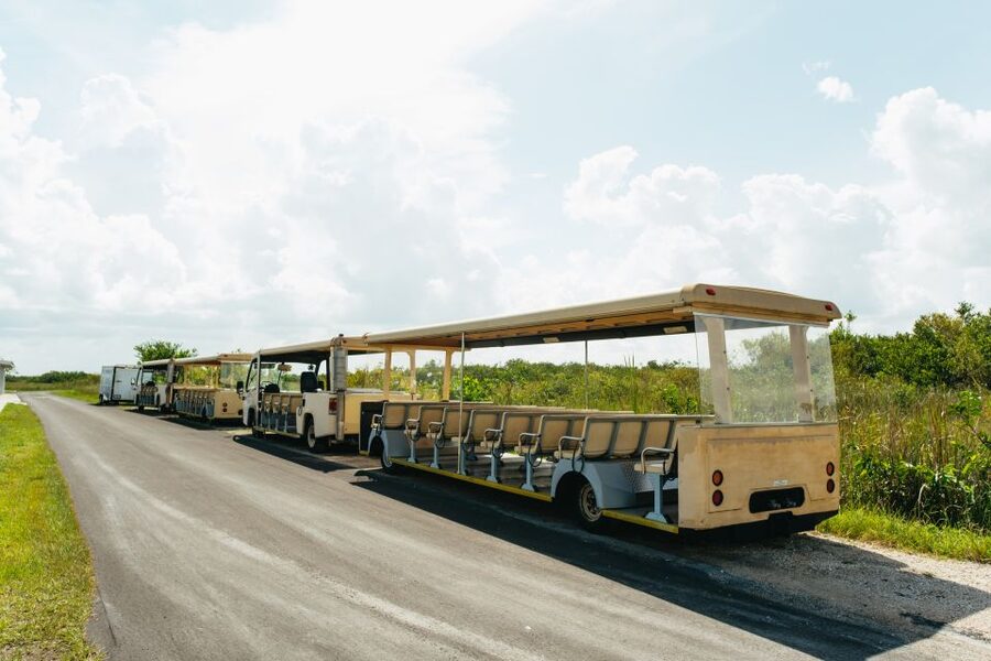 From Miami: Everglades Airboat Ride and Nature Walk - Key highlights you will feel the moment you arrive