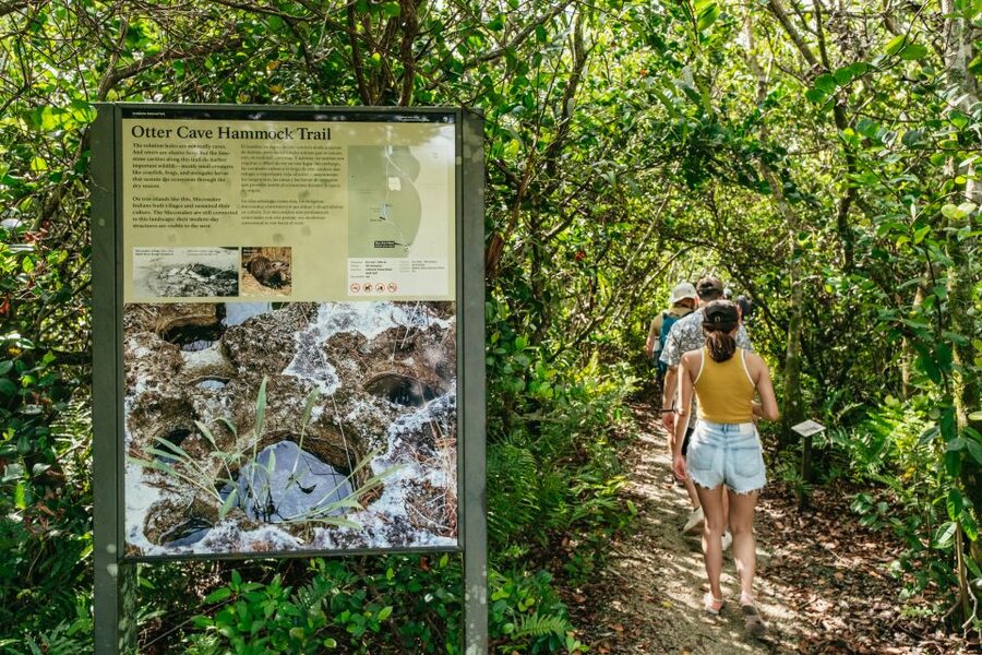 From Miami: Everglades Airboat Ride and Nature Walk - Who this tour suits best, and who should skip it