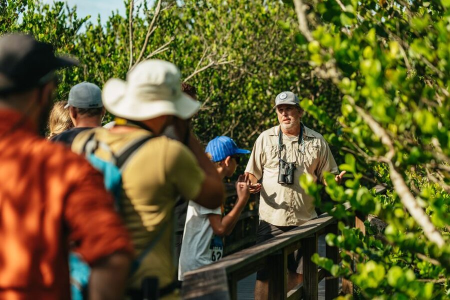 From Miami: Everglades Airboat Ride and Nature Walk - Hotel pickup, sprinter-style ride, and the quick shift into Everglades mode