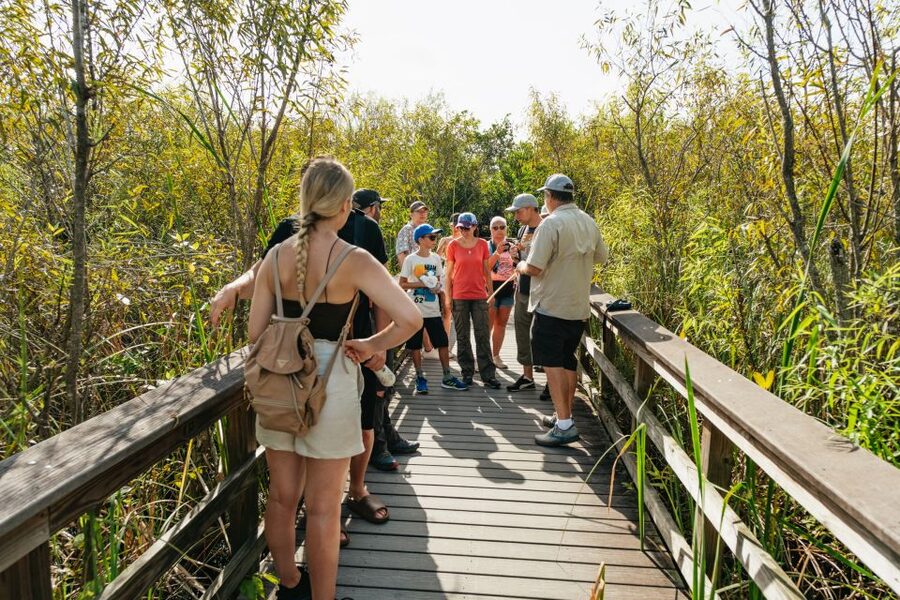 From Miami: Everglades Airboat Ride and Nature Walk - Guides and the vibe: why the day often depends on who leads you
