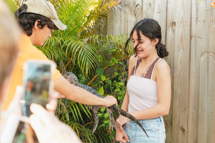 From Miami: Everglades Airboat, Wildlife Show & Bus Transfer - The 45-minute airboat ride: how the captain helps you spot gators