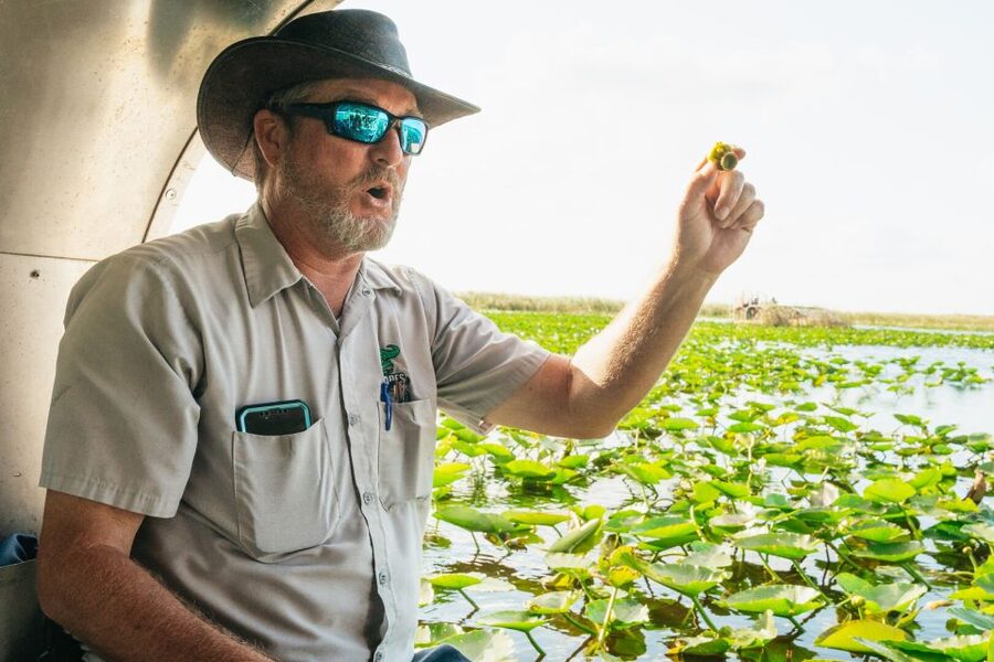 From Miami: Everglades Airboat, Wildlife Show & Bus Transfer - Price and value at about $49 per person from Miami