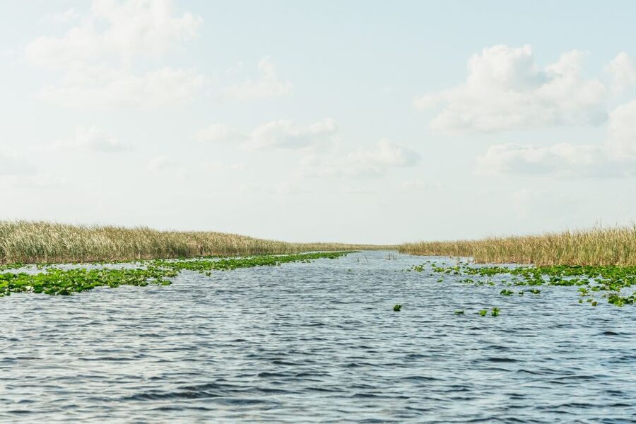 From Miami: Everglades Airboat, Wildlife Show & Bus Transfer - Should you book the Miami Everglades Airboat, Wildlife Show & Bus Transfer?