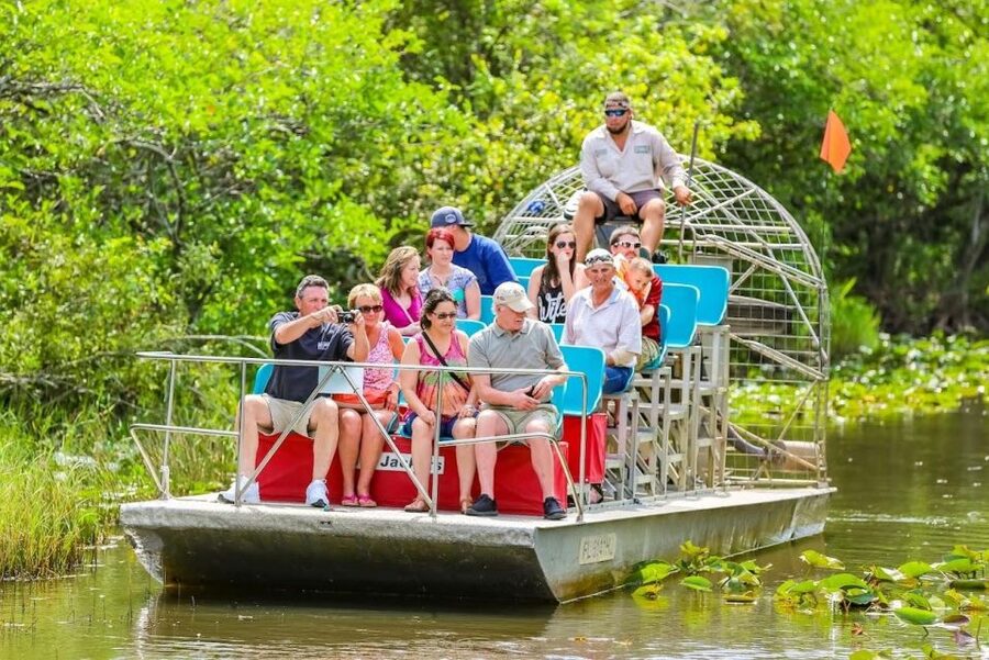 From Miami: Everglades Wildlife Show, Airboat & Bus Transfer - Live wildlife show with handlers: where learning becomes real