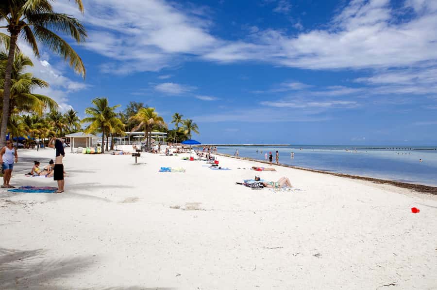 From Miami: Key West Day Tour by Motor Coach Bus - Comfort on the Coach: Big Wins, Real Quirks, and How to Handle Them