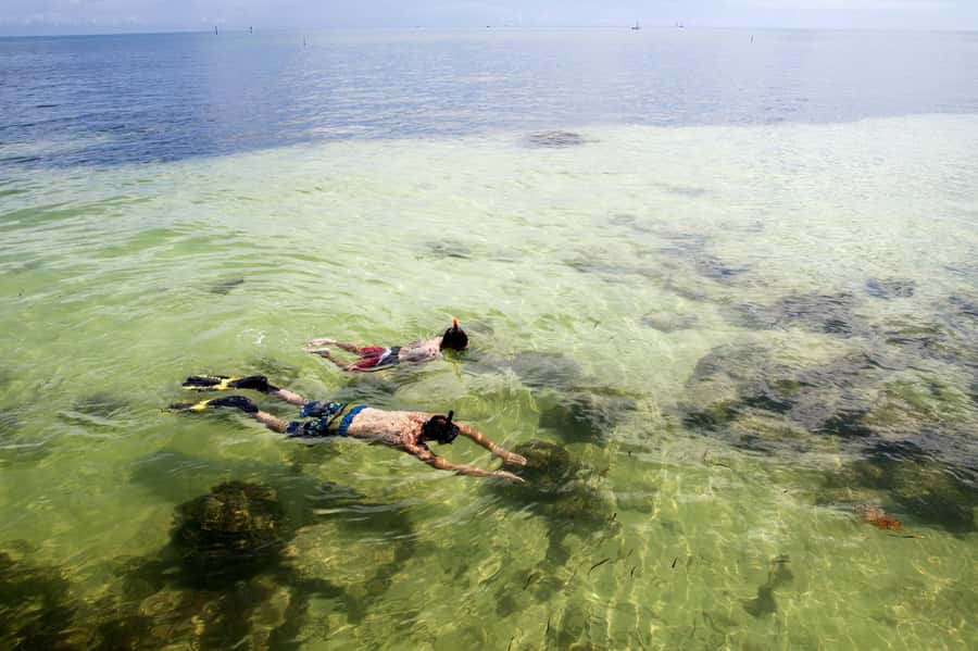 From Miami: Key West Day Tour by Motor Coach Bus - Should You Book This Key West Day Tour from Miami?