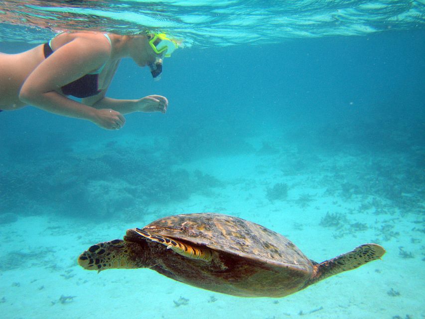From Miami: Key West Day Trip - Key highlights that make this day trip tick