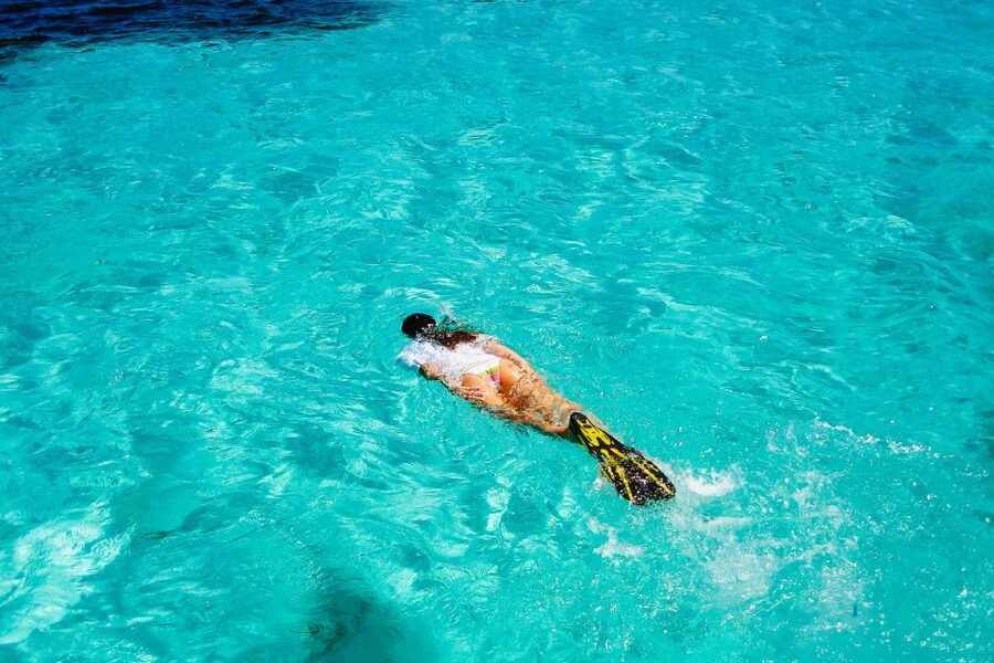 From Miami: Key West Day Trip - Snorkeling on your add-on list: what you need, what you can see