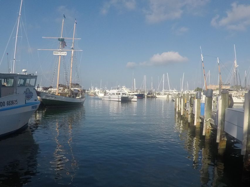 From Miami: Key West Day Trip with Pickup at Selected Hotels - Miami to Key West by bus: the scenic part starts before you reach the island