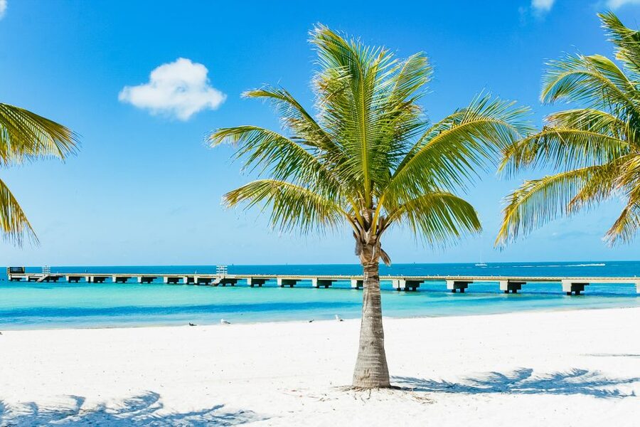 From Miami: Key West Day Trip - The sea side of things: sports-fishing flavor and real “on the water” time