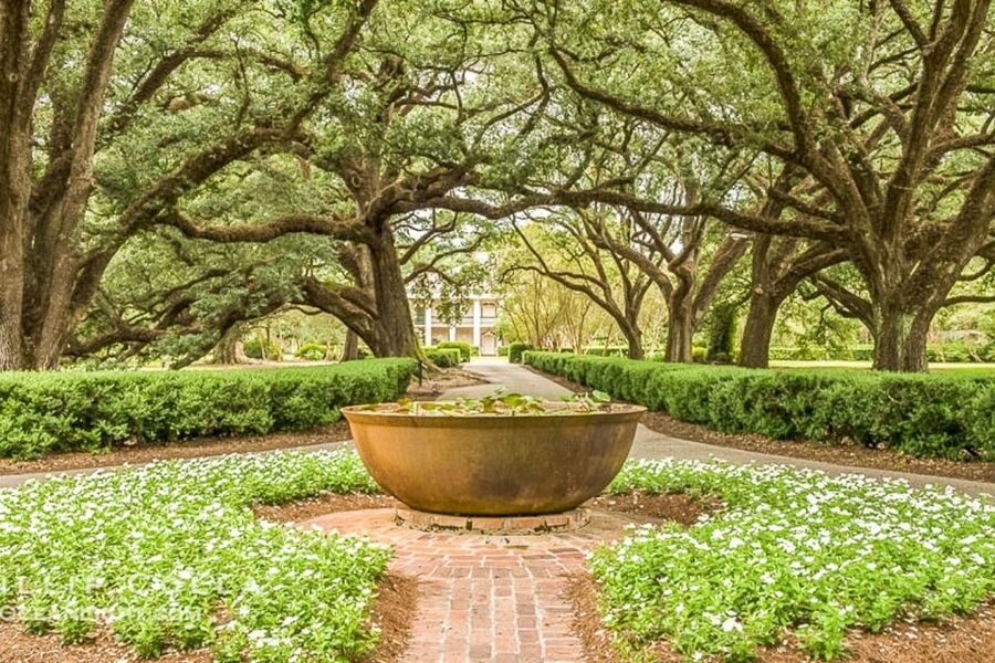 From New Orleans: Oak Alley Plantation Tour - Oak Alley in a Half-Day: How the 330-Minute Format Works