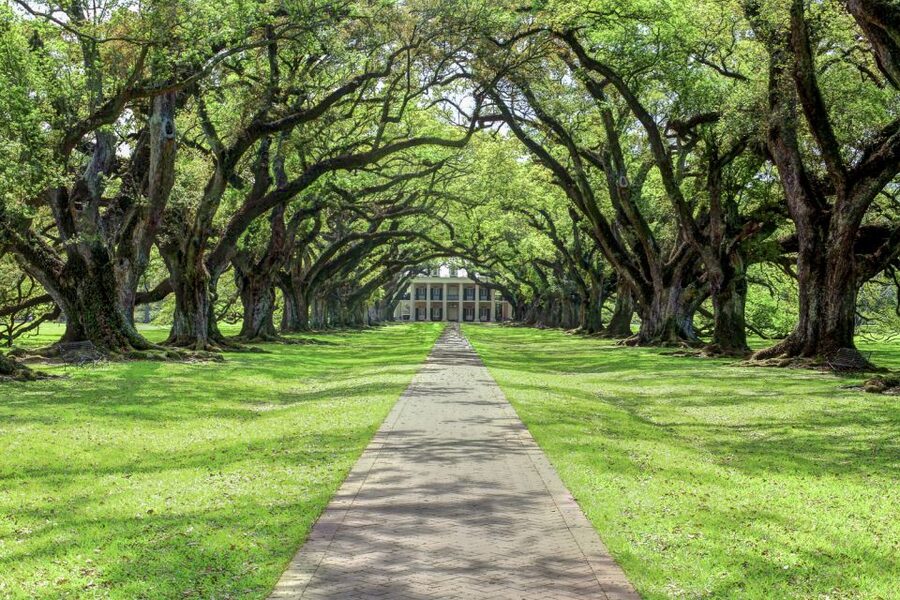 From New Orleans: Oak Alley Plantation Tour - Slave Quarters and the Way the Tour Balances Beauty and Pain