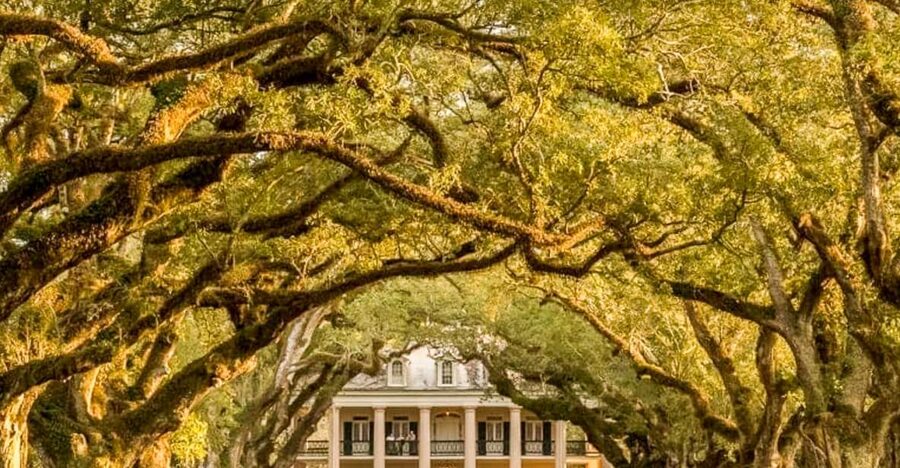 From New Orleans: Oak Alley Plantation Tour - First Look at Oak Alley Grounds: Those Live Oaks and the Mississippi Setting