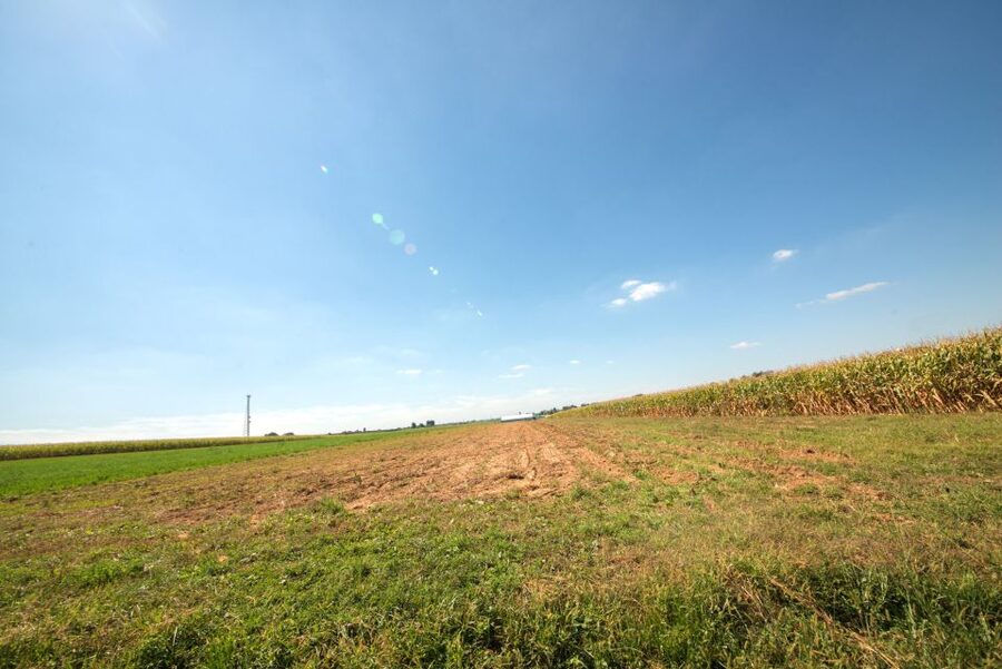 From NYC: Day Trip to Philadelphia and Amish Country - Lunch and Amish Market Time in Lancaster County