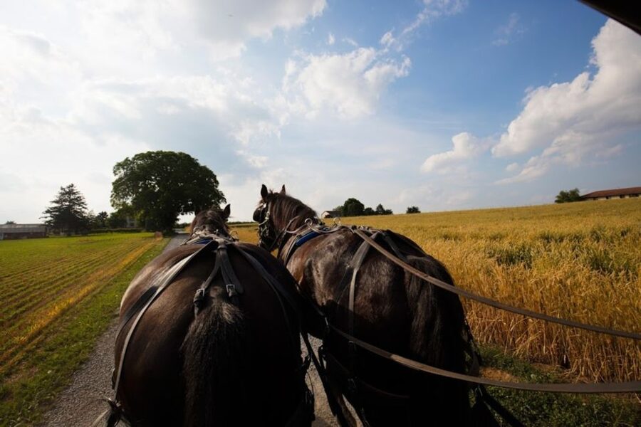 From NYC: Day Trip to Philadelphia and Amish Country - Time Management Reality Check: Why Philly Can Feel Short, and Amish Can Feel Long