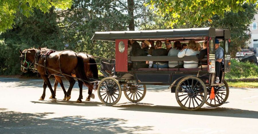From NYC: Day Trip to Philadelphia and Amish Country - From NYC at 6:30 AM, Plan on Being “On”