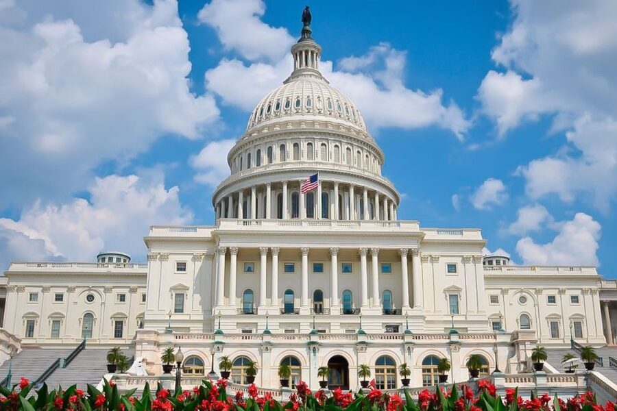 From NYC: Guided Day Trip to Washington DC by Van or Bus - NYC to DC by van or bus: what 15 hours really feels like
