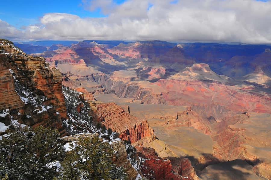 From Phoenix: Grand Canyon, Sedona, and Oak Creek Day Trip - The drive through Sonoran Desert and Flagstaff pine country