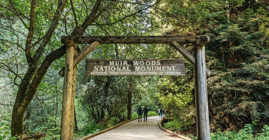 From San Francisco: Guided Muir Woods Tour - Key things I’d prioritize on this tour