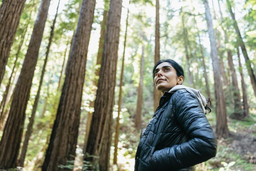 From San Francisco: Guided Muir Woods Tour - Check in at 99 Jefferson Street, then roll out of Fishermans Wharf