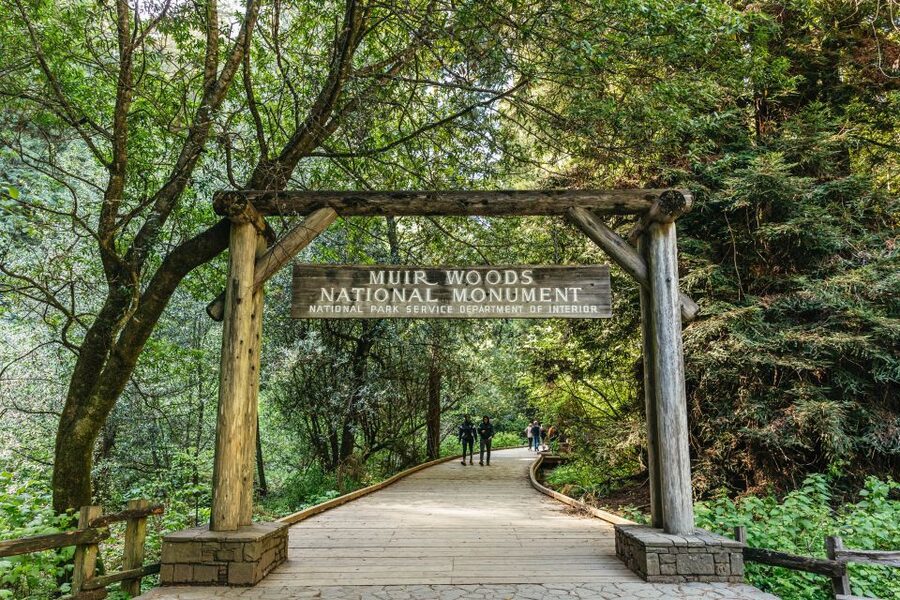 From San Francisco: Guided Muir Woods Tour - 1.5 hours inside Muir Woods National Monument, ticket included