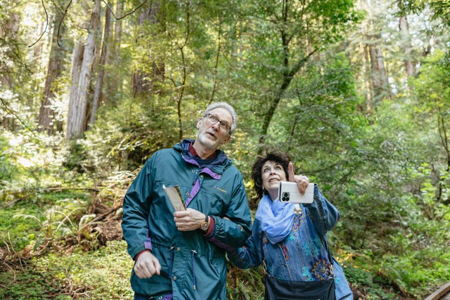 From San Francisco: Guided Muir Woods Tour - Price and value at $84, what you really get