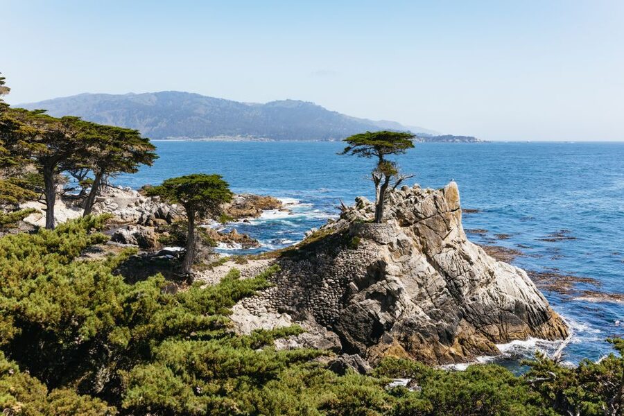 From San Francisco: Monterey and Carmel Day Tour - Key takeaways before you go