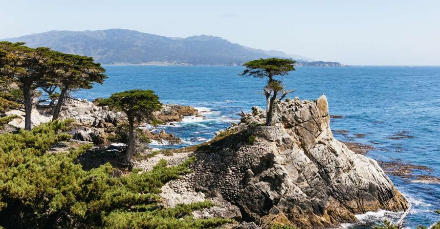 From San Francisco: Monterey and Carmel Day Tour - Why Monterey and Carmel belong in the same day