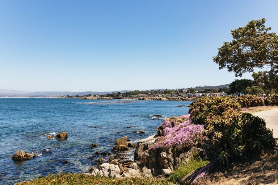 From San Francisco: Monterey and Carmel Day Tour - How the full-day timing shapes your experience