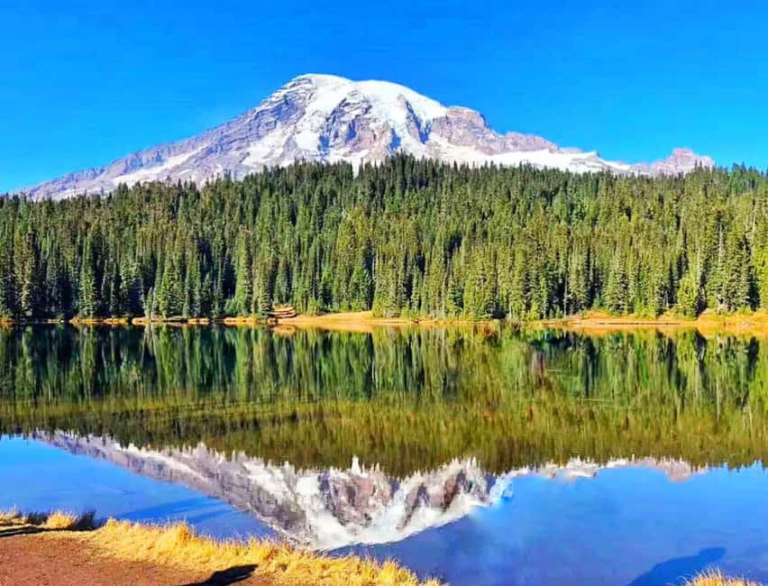 From Seattle: Mount Rainier Guided Day Tour - Seattle to Mount Rainier: why the early pickup is worth it
