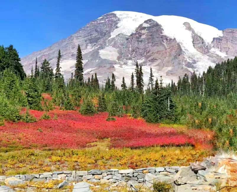 From Seattle: Mount Rainier Guided Day Tour - Longmire Museum: the easiest way to understand what you are seeing