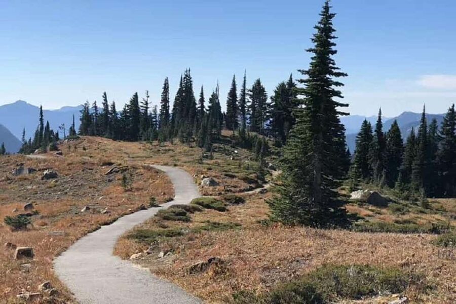 From Seattle: Mount Rainier Guided Day Tour - Christine Falls and Narada Falls: quick stops with big payoff