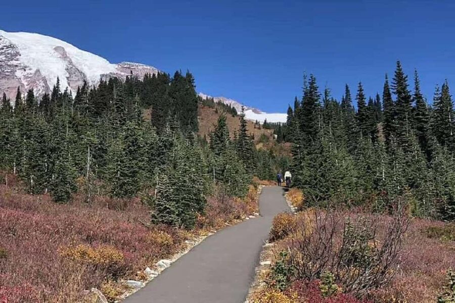 From Seattle: Mount Rainier Guided Day Tour - Food, timing, and what to bring so the day feels easy