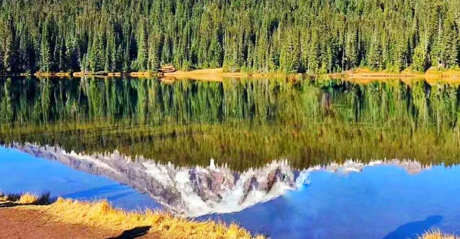 From Seattle: Mount Rainier Guided Day Tour - Price check: is $148 a good deal from Seattle?