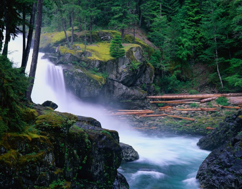 From Seattle: Mount Rainier National Park Guided Tour - Photo Stops and Quiet Wins: Viewpoints, Extra Stops, and Better Crowd Timing