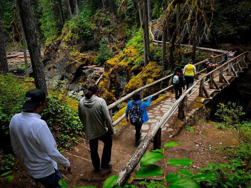 From Seattle: Mount Rainier National Park Guided Tour - The Minibus Ride: Big Windows, Strong A/C, and Live Guide Talk
