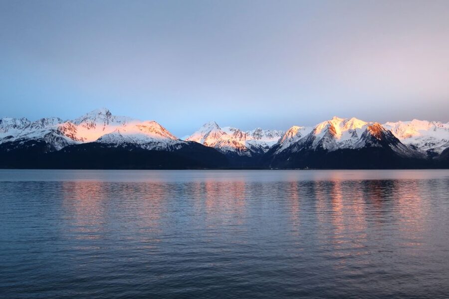 From Seward: Half-Day Resurrection Bay Wildlife Cruise Tour - Wildlife Spotting: How You Actually Get Good Chances