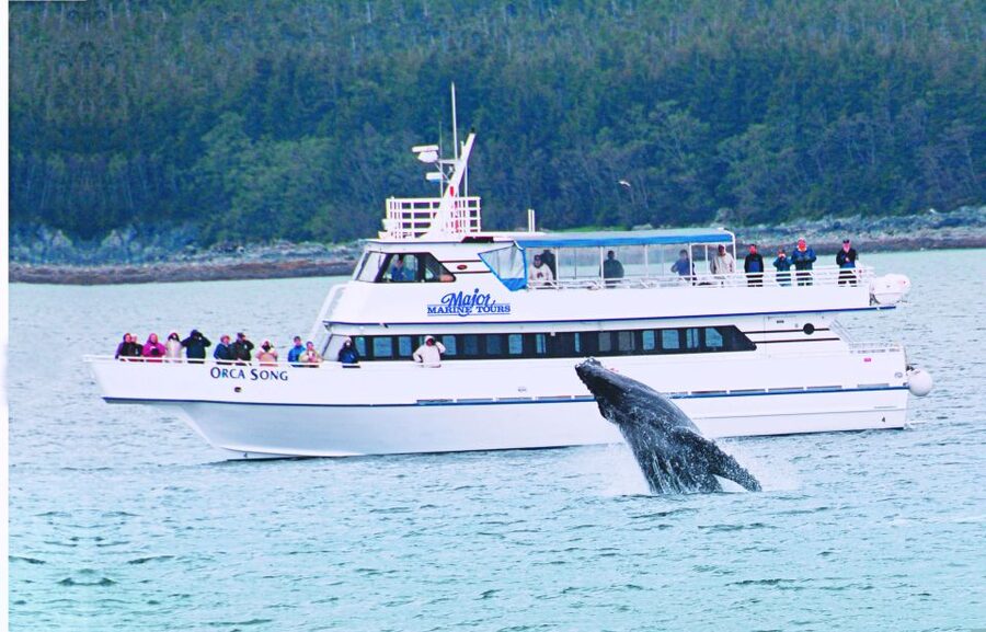 From Seward: Half-Day Resurrection Bay Wildlife Cruise Tour - Where You Check In, and How to Avoid the First-Day Friction