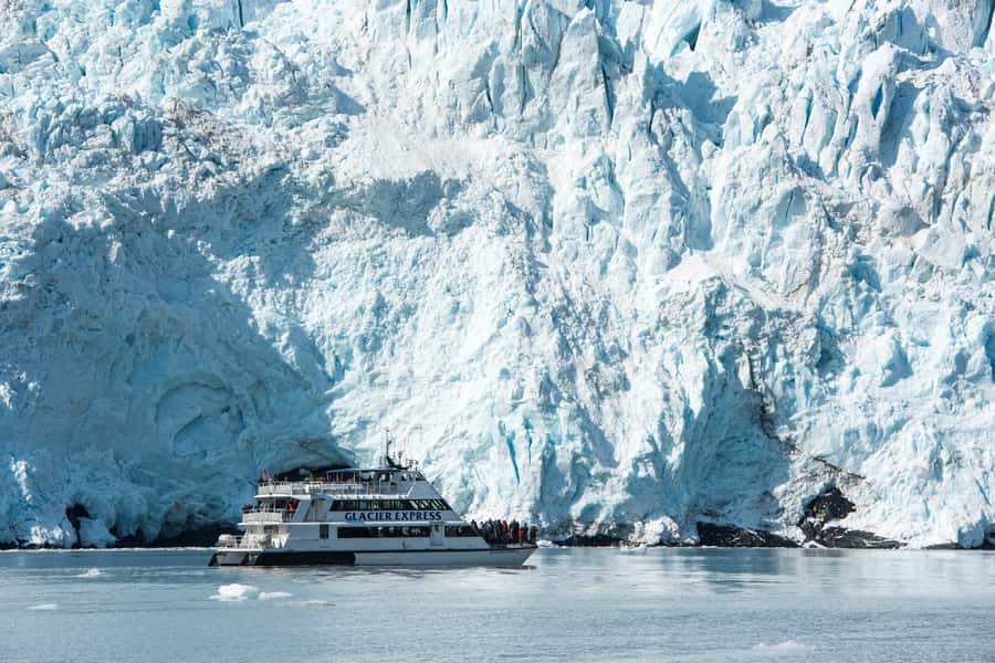 From Seward: Kenai Fjords National Park Cruise with Lunch - Key things I think you should know first