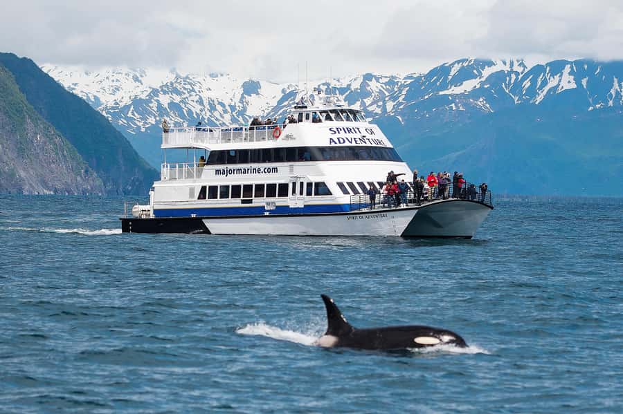 From Seward: Kenai Fjords National Park Cruise with Lunch - Why this Kenai Fjords cruise is a smart use of 7.5 hours