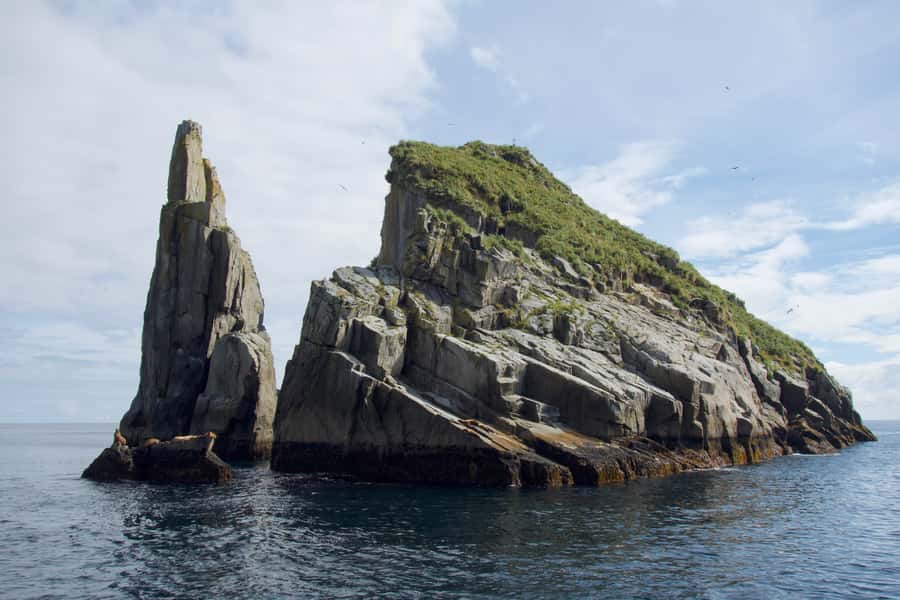 From Seward: Kenai Fjords National Park Cruise with Lunch - The big draw: Aialik Glacier and Holgate Glacier, both tidewater