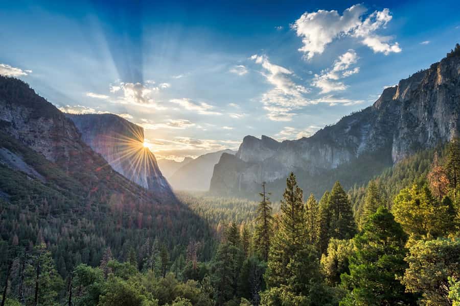 From SF: Yosemite Day Trip with Giant Sequoias Hike & Pickup - Wildlife odds, weather swings, and what to pack for a 14-hour day