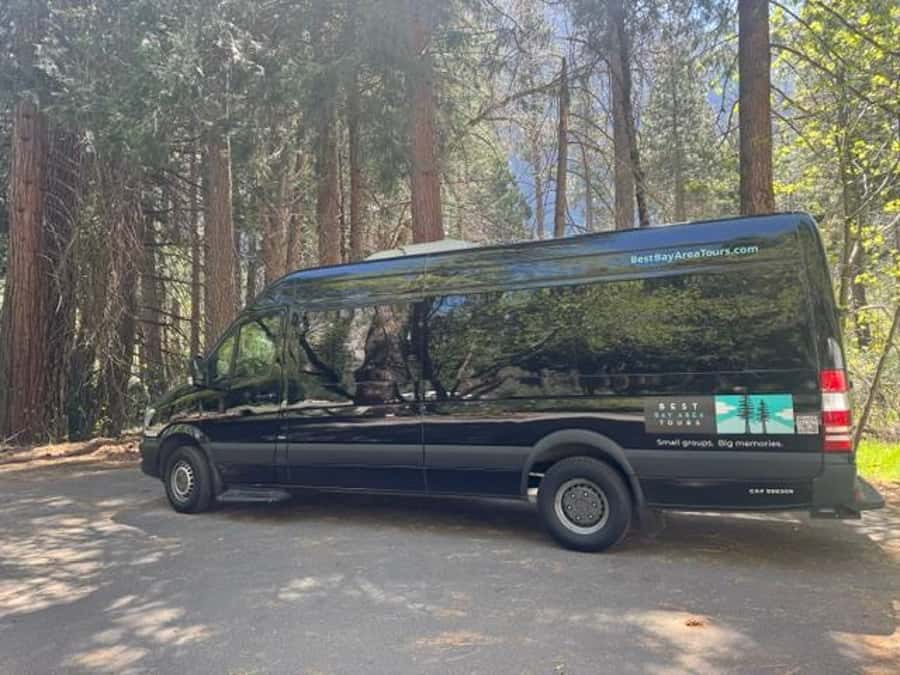 From SF: Yosemite Day Trip with Giant Sequoias Hike & Pickup - Who this tour fits best, and who should choose something else