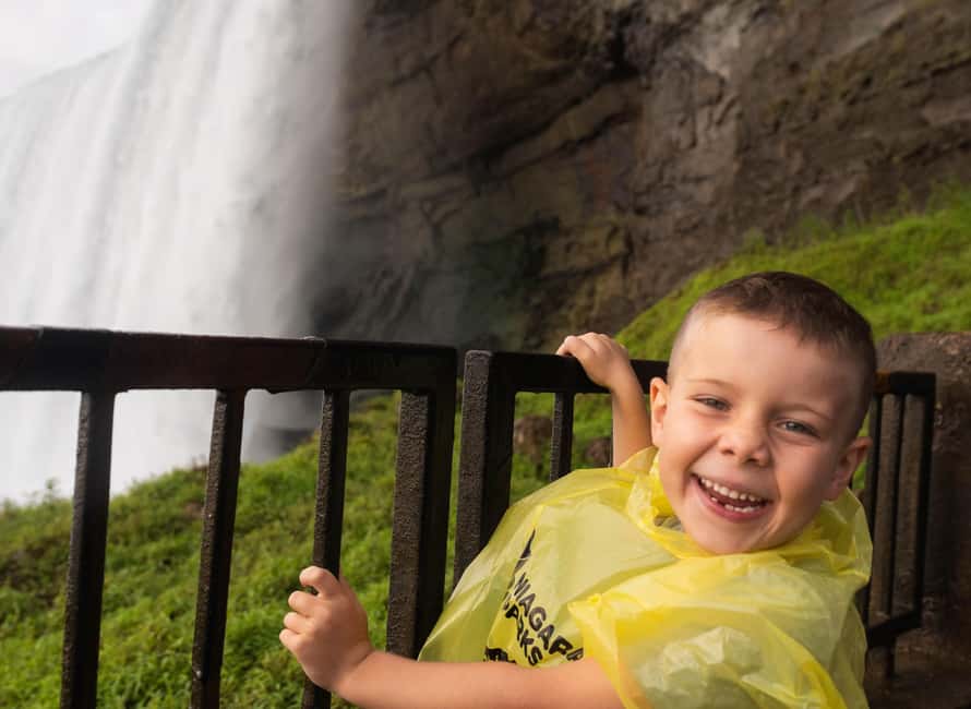 From Toronto: Niagara Falls Full-Day Bus Tour & Winery Stop - Optional upgrades: Hornblower Boat Ride or Journey Behind the Falls