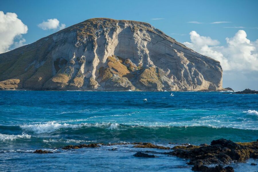 From Waikiki: Best of Oahu Photo Tour with Pickup - Photography coaching that actually helps you shoot, not just look