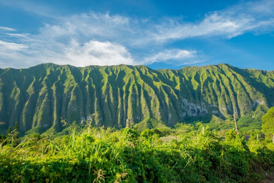 From Waikiki: Best of Oahu Photo Tour with Pickup - Price and value: is $99 worth it?