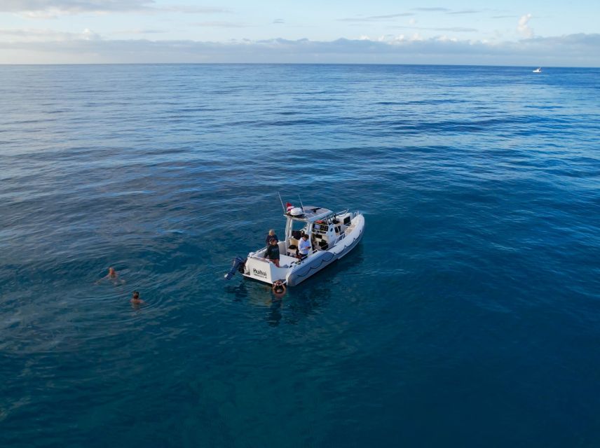 From Waikiki: Turtle Canyon Snorkeling Tour - Complimentary Drinks After Snorkeling (Because You’ll Want a Sip)