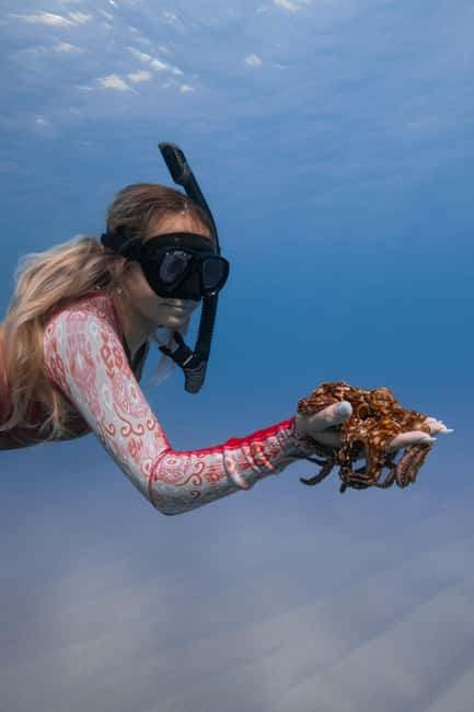 From Waikiki: Turtle Canyon Snorkeling Tour - Who This Tour Fits Best (And Who Should Skip It)