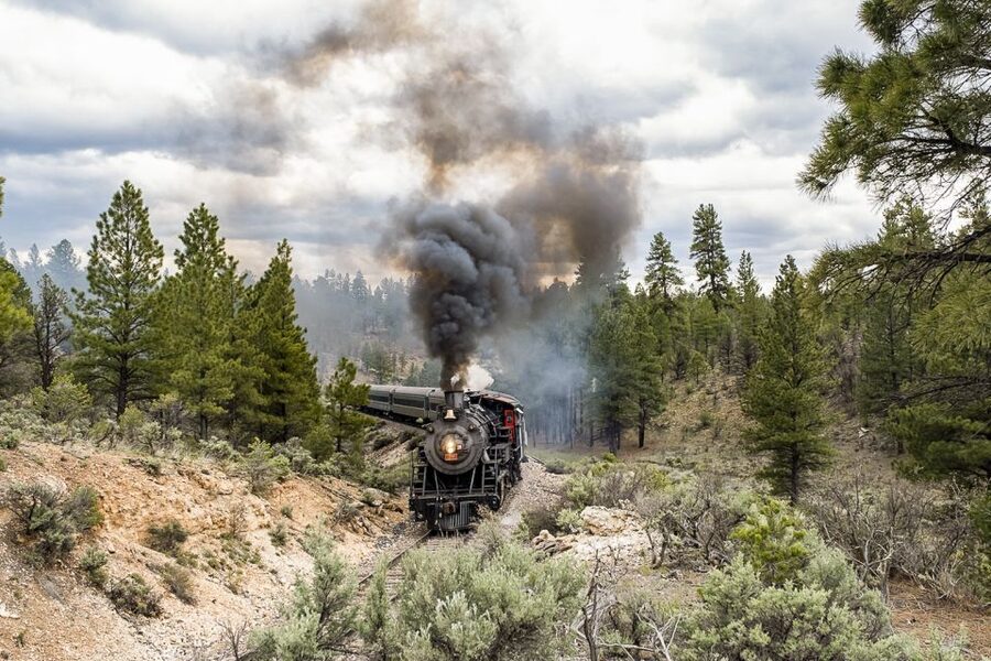 From Williams: Grand Canyon Railway Round-Trip Train Ticket - The pre-boarding Wild West shootout skit, and whether you should care